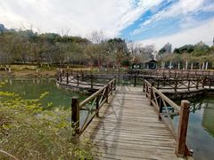 -桐乡植物园
