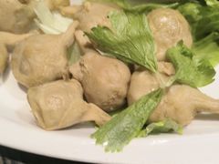 -杨肥肠火锅大排档(火车站花园店)
