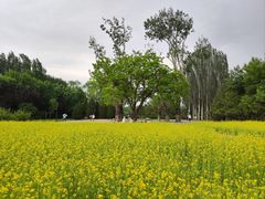 -北坞公园