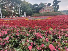 -洛龙公园