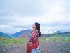 -大冬树山垭口