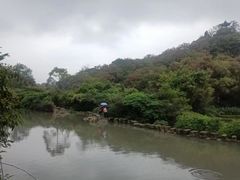 -花溪公园
