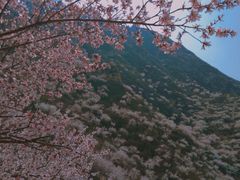 -鸡鸣山旅游景区