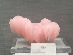 -湖南省地质博物馆