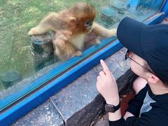 -大连森林动物园