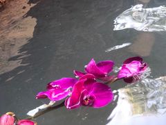 -北京益泉花园酒店