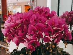 -远洋未来广场(育慧北路店)