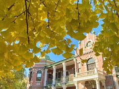 -北京动物园-畅观楼