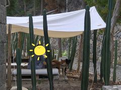 -MOJ coffee(瓯海泽雅水碓坑店)