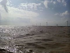 -黄海国家森林公园