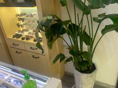 -康利眼镜·蔡司战略合作店(龙泉书房店)