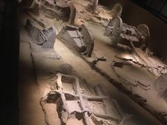 -洛阳周王城天子驾六博物馆