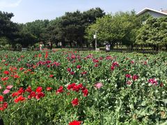 -国家植物园南园