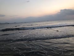 -广东惠东海龟国家级自然保护区