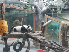 -青藏高原野生动物园