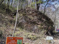 -朱雀国家森林公园