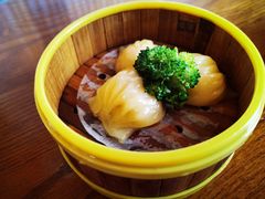 -潮福汇