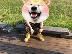 -盐城丹顶鹤湿地生态旅游区