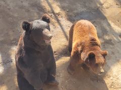 -中华郡文化旅游景区