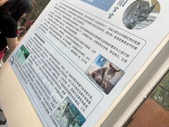 -青藏高原野生动物园