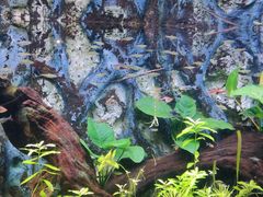 -上海海洋水族馆