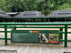 -野象谷景区