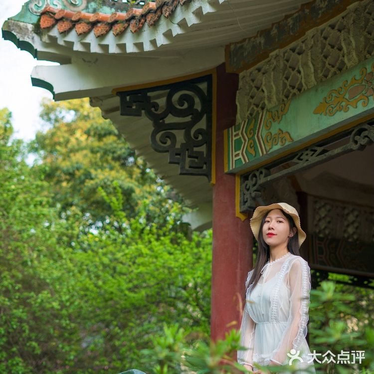 武汉植物园里的绿野仙踪