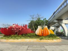 -阳台山森林公园