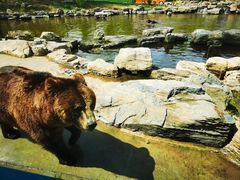 -北京野生动物园