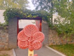 -香山公园