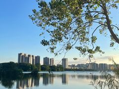 -飞来湖湿地公园