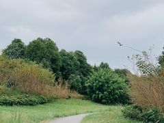 -白鹭湾湿地公园