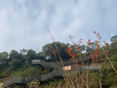 -福道