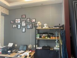 -明星刺青·洗纹身