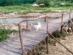 -青龙寺