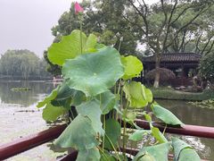 -西湖外事游船(花港观鱼码头)