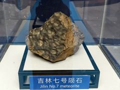 -吉林市博物馆