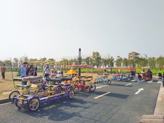 -春花秋色城市公园