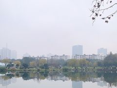 -月湖公园