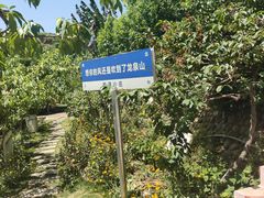 -桃源山庄·水蜜桃采摘·柴火鸡·烧烤团建(龙泉山店)
