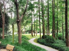 -苏州河梦清园环保主题公园