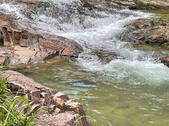 -广州白江湖森林公园