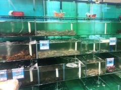 水产区-琼大师东方烤乳猪(亚特兰蒂斯店)