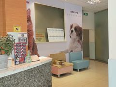 -瑞派申生动物医院·24H夜诊·国际动物医疗中心·骨外科(吴中路店)