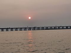 -宝安西湾红树林湿地公园