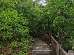 -帽儿山国家森林公园