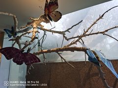 -春晖园度假酒店温泉