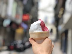 -柠檬车露(卖草地店)
