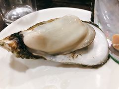 -蚝专家(北滘店)