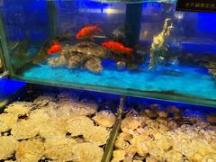 -SEA西雅图海鲜自助餐厅(海乐世界店)